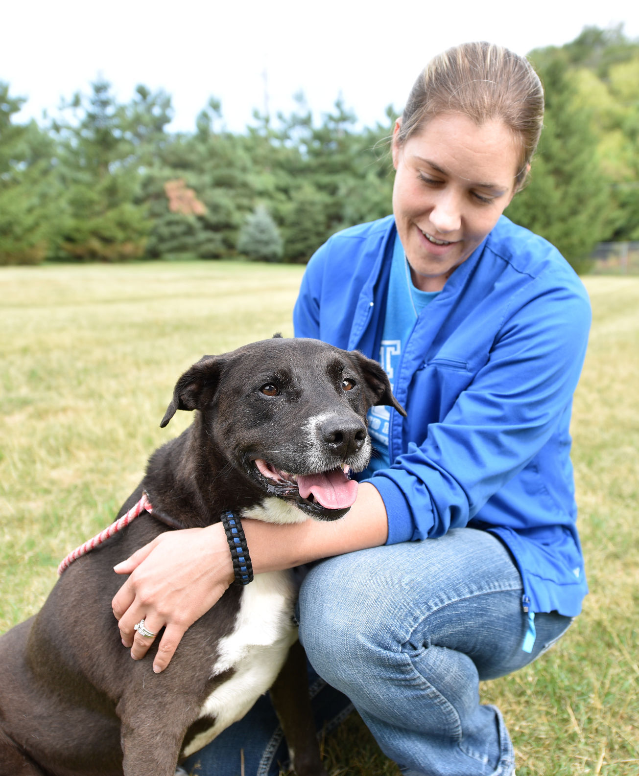 Adopting older dogs